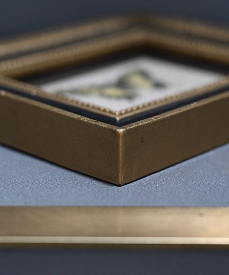 アゲハ蝶（ドイツ洋書／インゼル文庫） | CUATRO CAMINOS