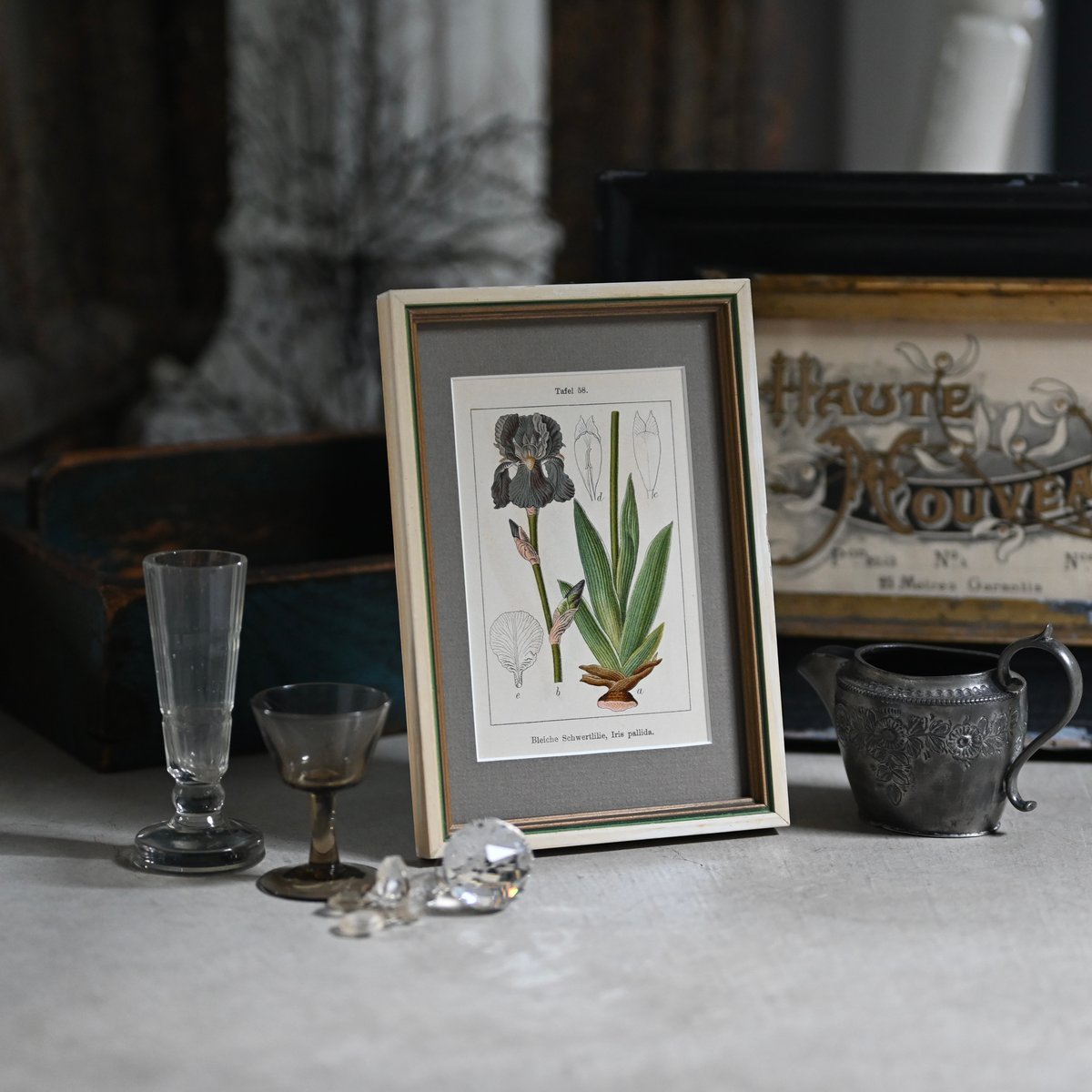 アイリス・パリダ | CUATRO CAMINOS