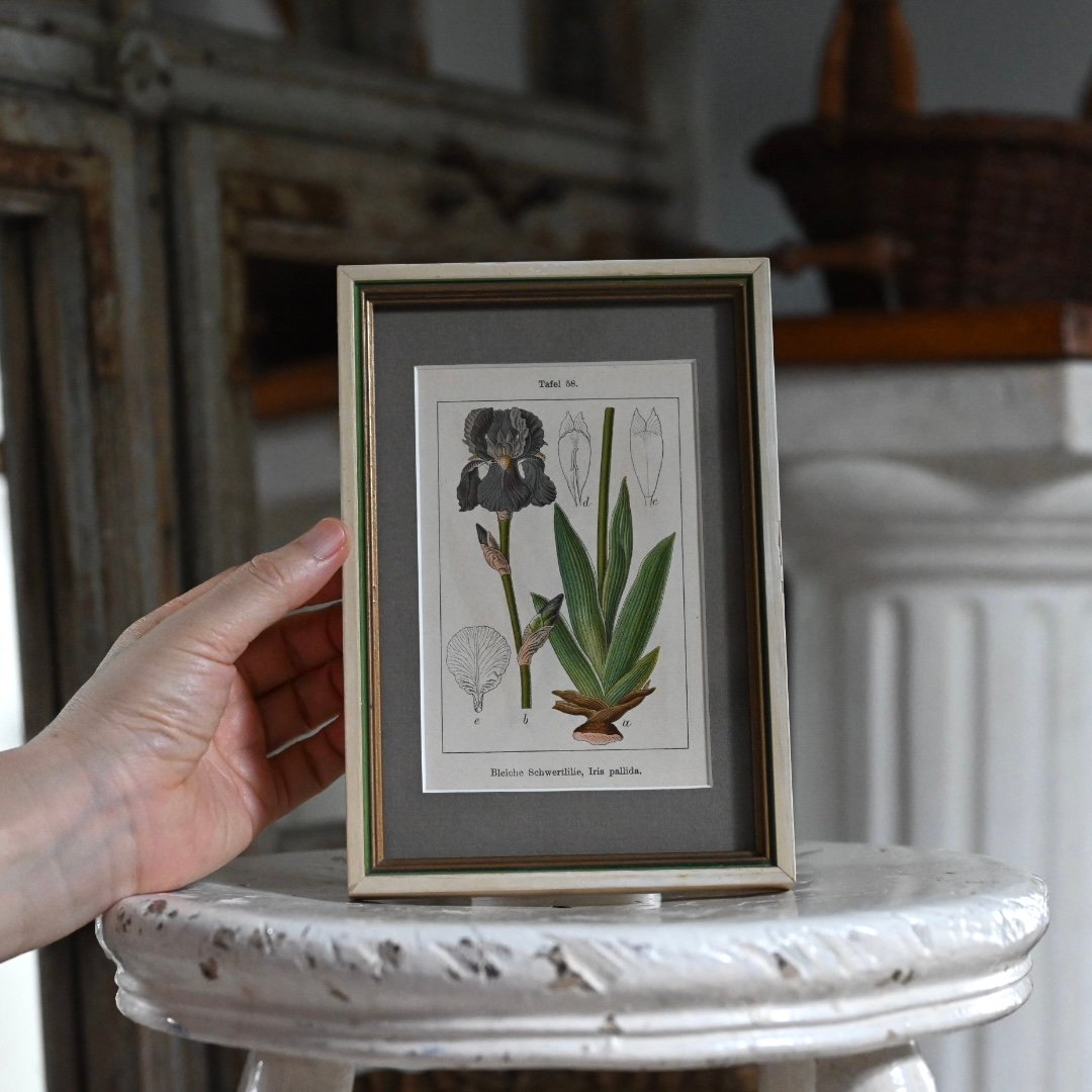 廃盤 入手困難 ラルチザン イリスパリーダ イリスパリダ 香水 廃盤 入手困難 ラルチザン イリスパリーダ イリスパリダ 香水