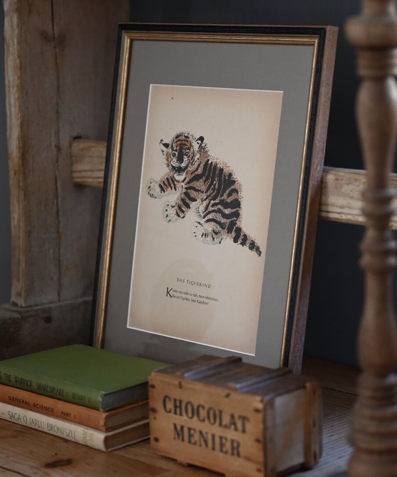 虎の赤ちゃん（ヴィンテージ絵本／ドイツ） | CUATRO CAMINOS