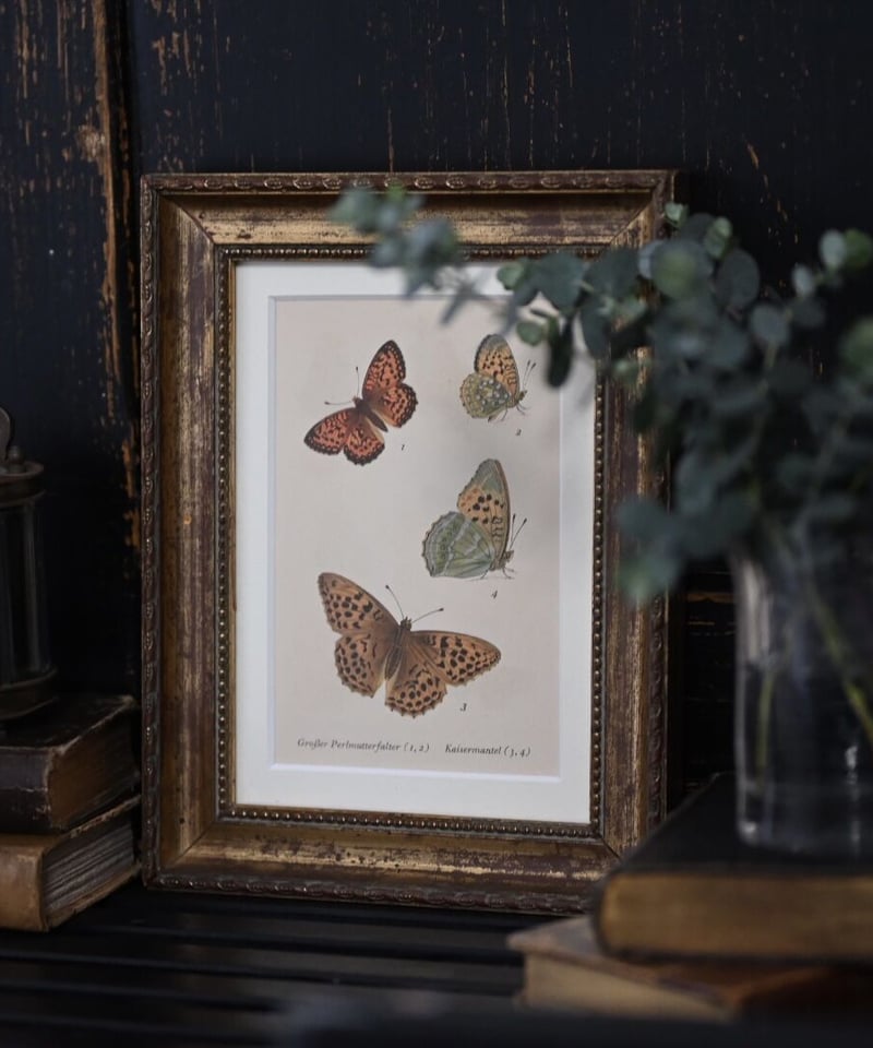 Butterfly Life USA 蝶々　キャンバスF4号 Butterfly Life USA 蝶々 キャンバスF4号 Butterfly Life USA