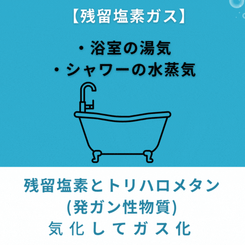 セラピーシャワー(素粒水) | GOVVI α JAPAN セラピーシャワー(素粒水) | GOVVI α JAPAN