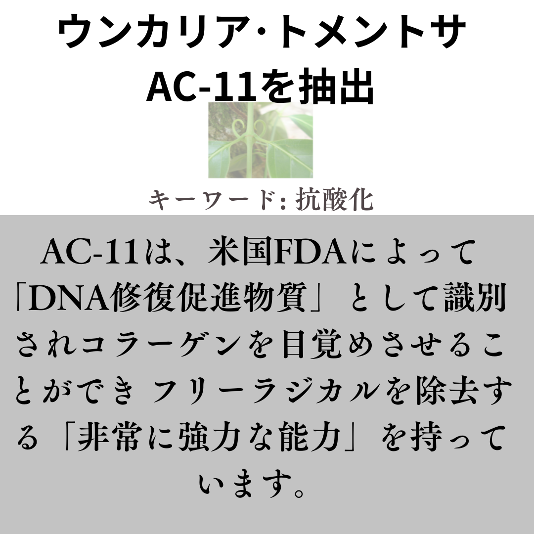 ヒドラフェイシャルローション 140ml「ヴィタリテ シリーズ アンフィニ