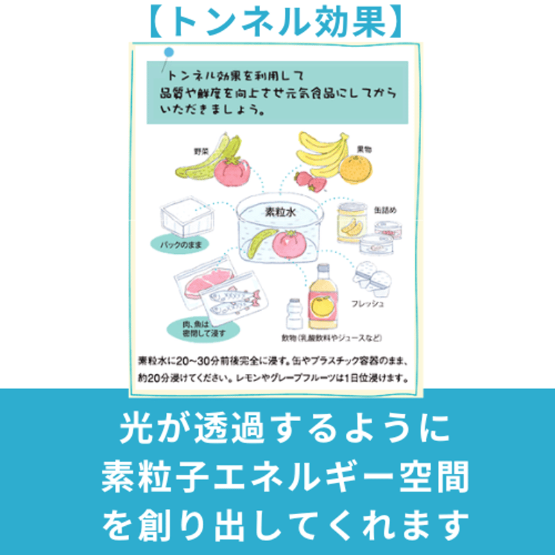 セラピーシャワー（素粒水） | GOVVI α JAPAN