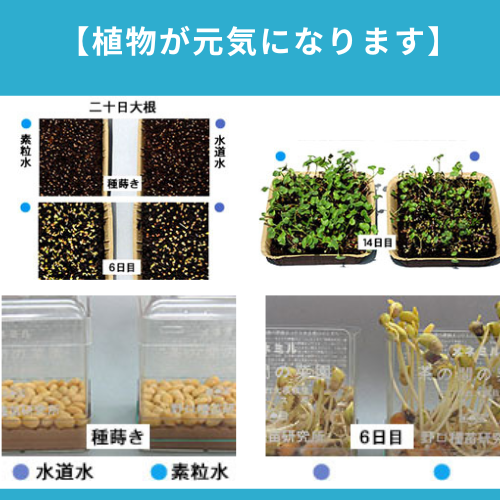 セラピーシャワー（素粒水） | GOVVI α JAPAN