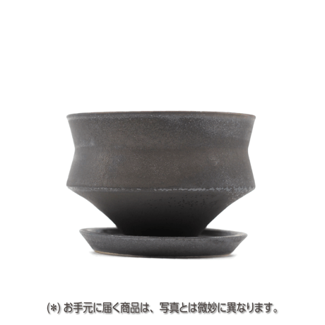 HACHIYA HACHIYA