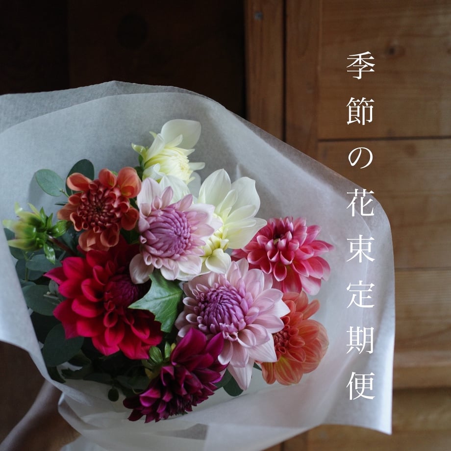 6690bbf70c846b0034c2484f