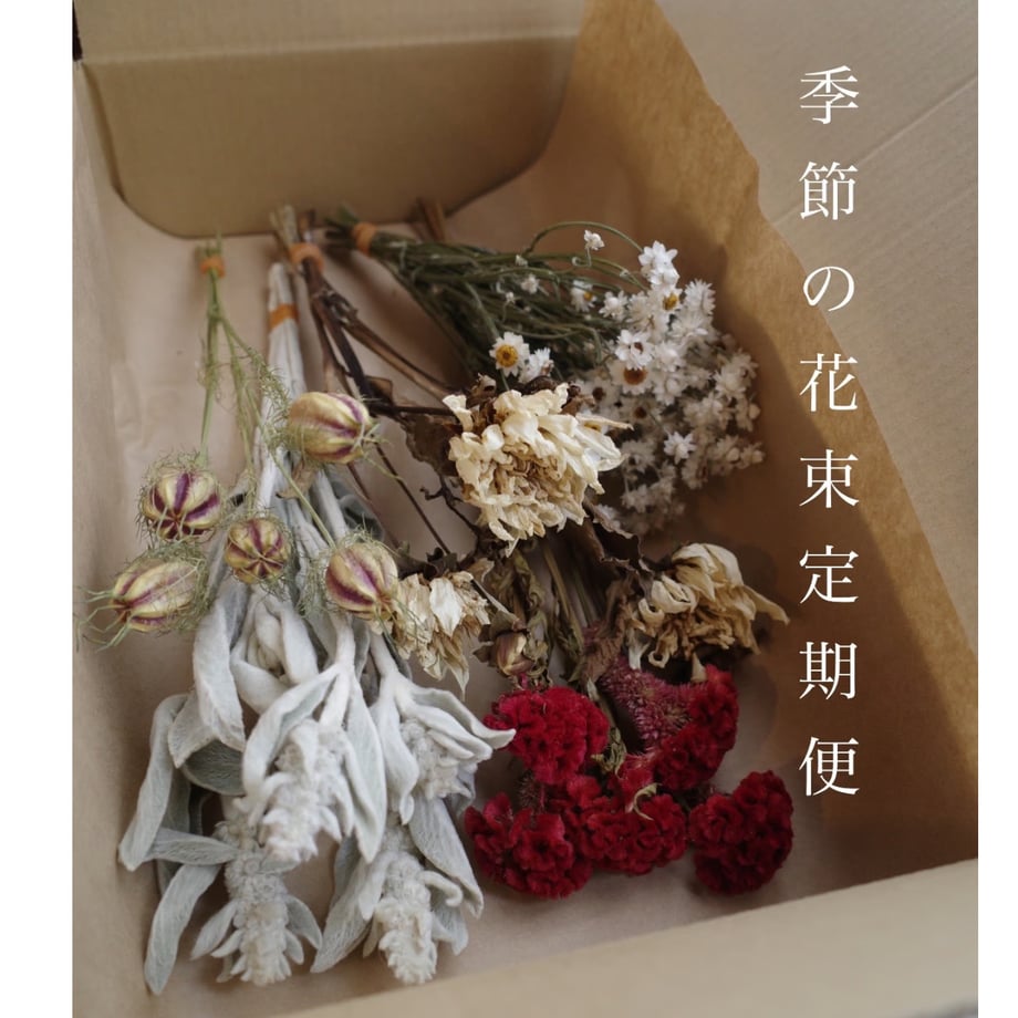 6690bbf70c846b0034c2484f