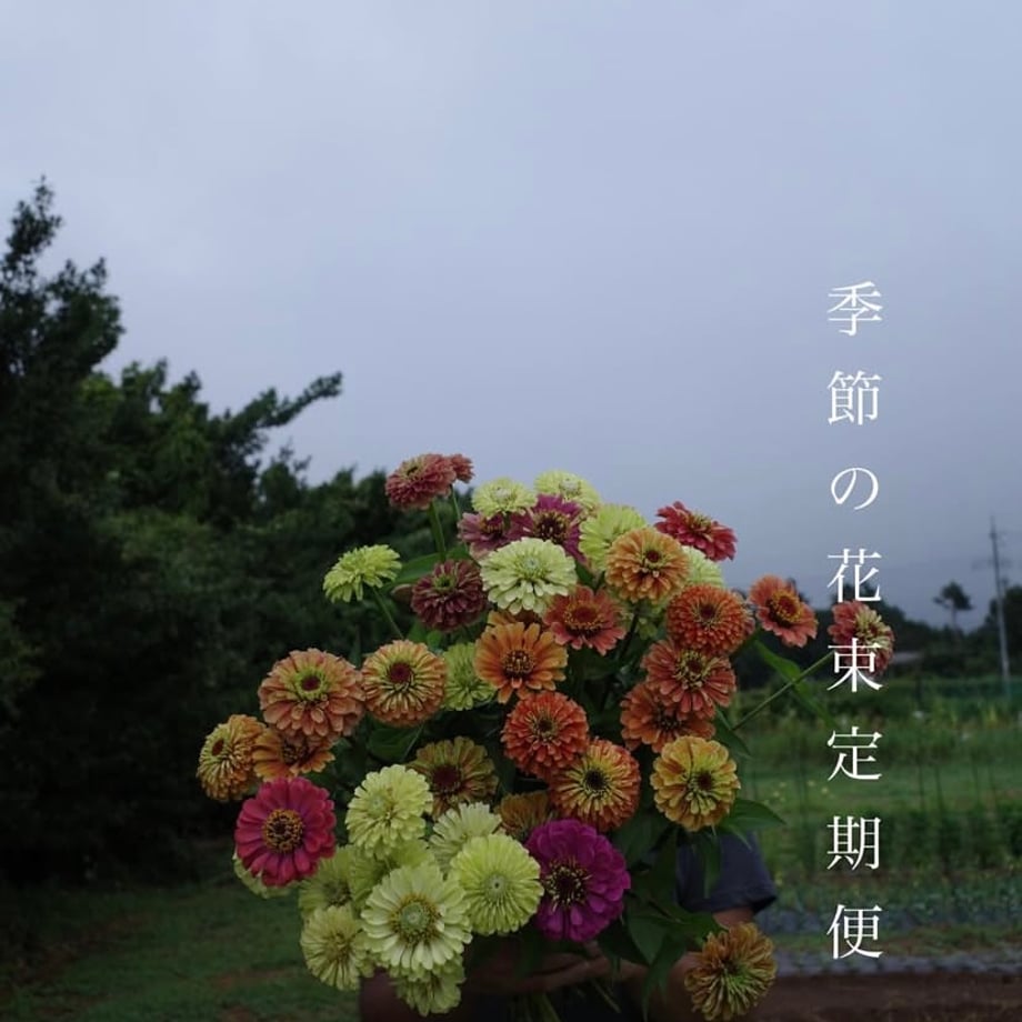6690bbf70c846b0034c2484f