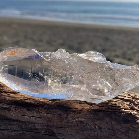 トライゴーニック | STORES