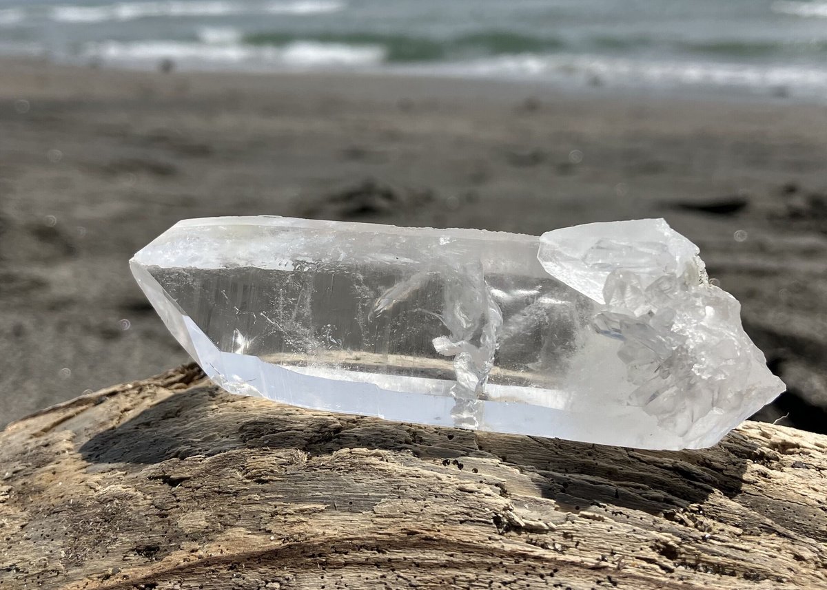 レムリアンシード 初期鉱山セラデカブラル産 《は》 | mira Earth