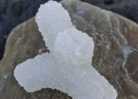 カクタスクォーツ　インド産