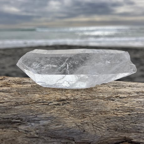 セラデカブラル | STORES