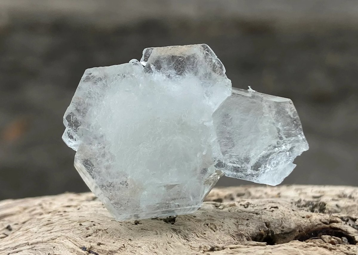 おまとめ専用です♡新作♡極スキャポライト、極モスアクアマリン、グリーンフローライ 久々のサンゴ入荷です！ | アクアテイラーズサッポロ