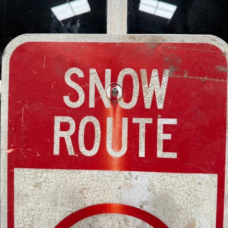 Vintage SNOW ROUTE P 道路標識 20-202-28
