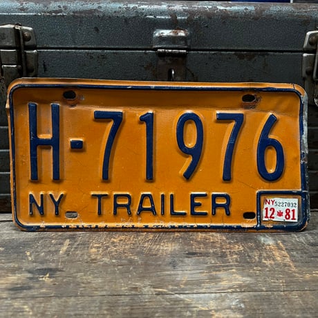 Vintage License Plate 173-3