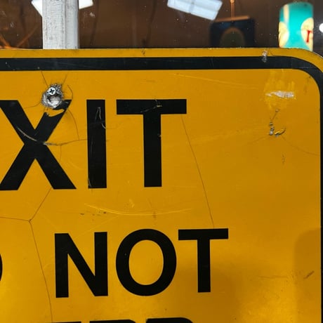 Vintage EXIT SIGN 19-13