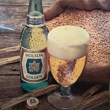 Vintage Molson Golden Beer プラスチック Sign 17-265