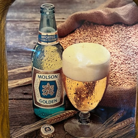 Vintage Molson Golden Beer プラスチック Sign 17-265