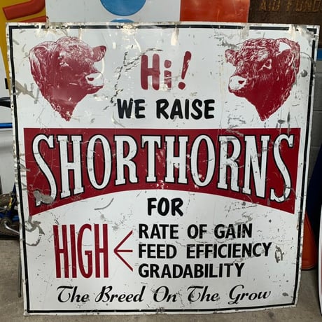 SHORTHORNS ヴィンテージ　看板　11-95