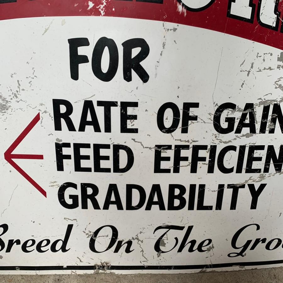 SHORTHORNS ヴィンテージ 看板 11-95 | BigBear Online Store