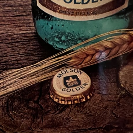 Vintage Molson Golden Beer プラスチック Sign 17-265