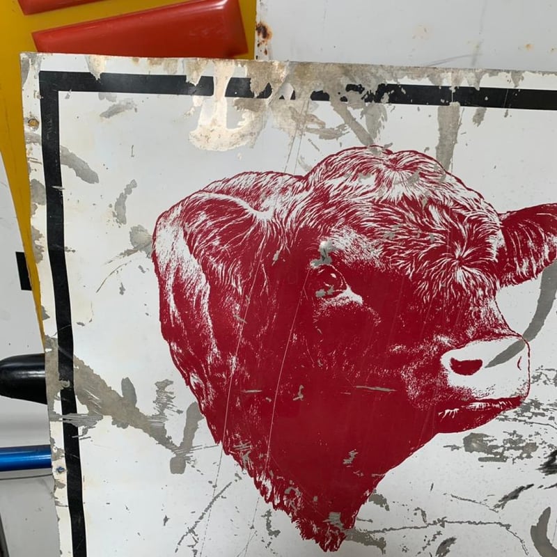 SHORTHORNS ヴィンテージ 看板 11-95 | BigBear Online Store