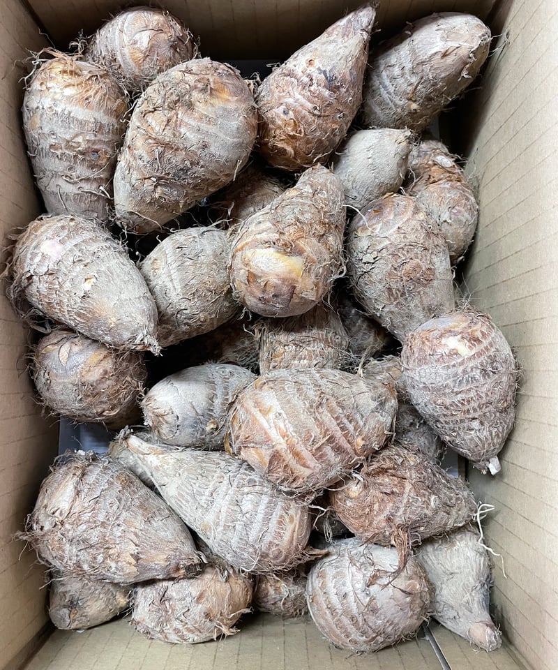 上伊場野里芋 Lサイズ 2kg | FKDfarm ネットStore