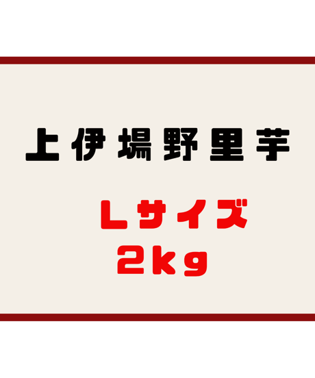 上伊場野里芋 Lサイズ  2kg