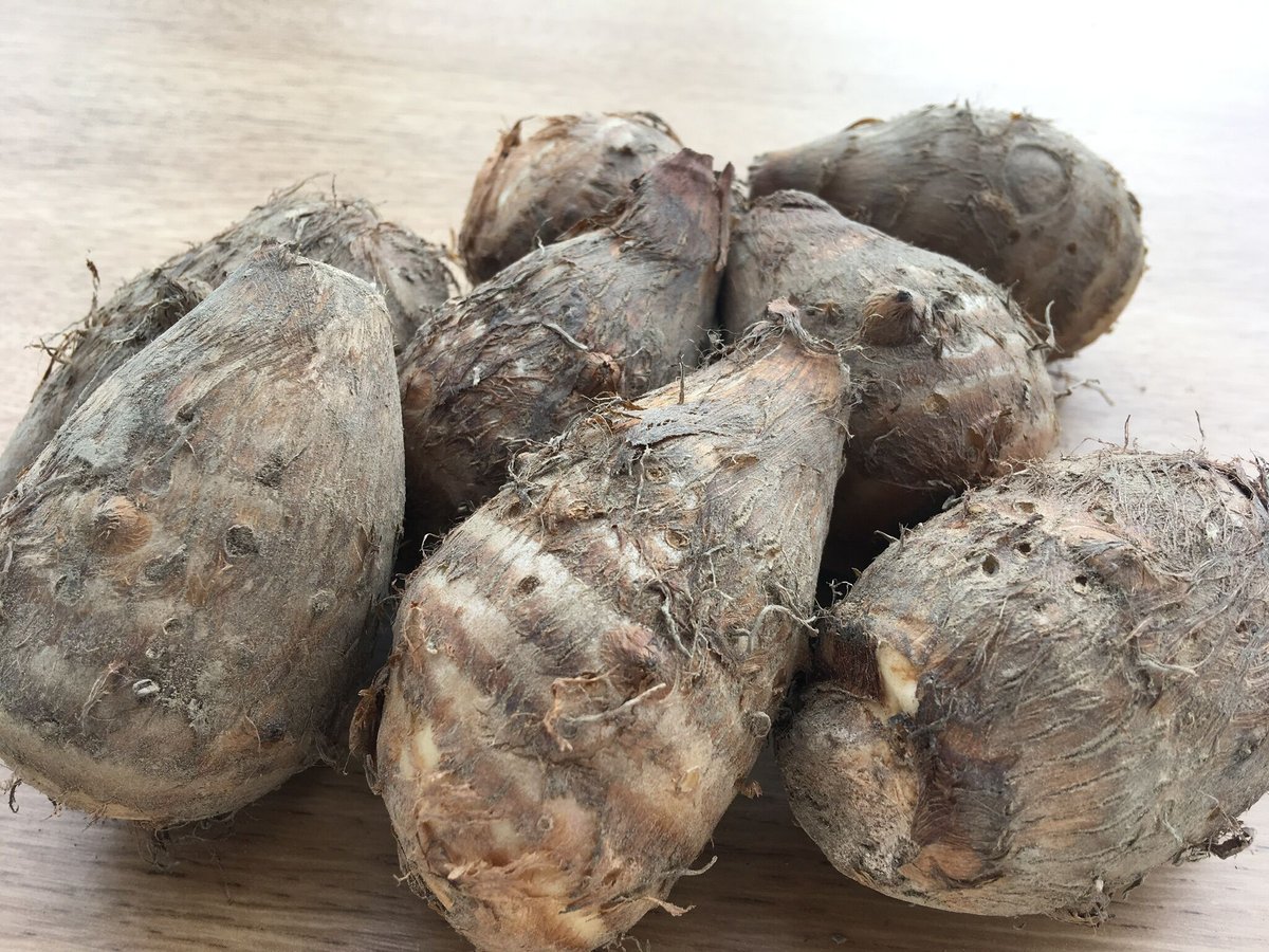 上伊場野里芋 Lサイズ 2kg | FKDfarm ネットStore
