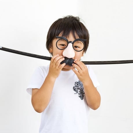 ヒゲめがね