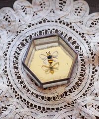 Beehive 3