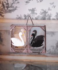 White & black swans box