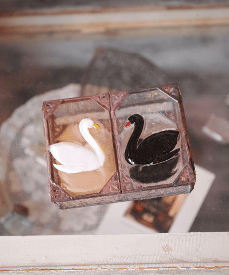 White & black swans box