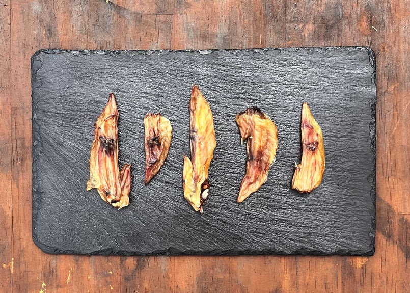 ペット用】天使の羽根ジャーキー(手羽先) 無添加 犬のおやつ ペットの