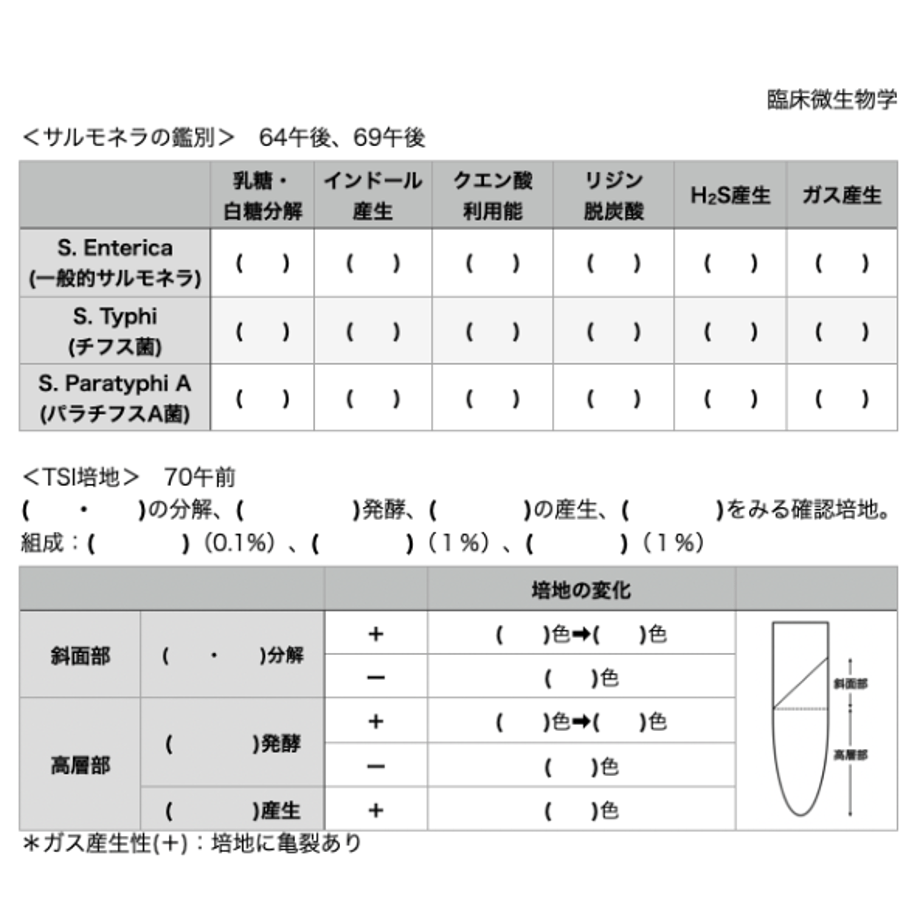 671f86f26c8af60931bac5a5