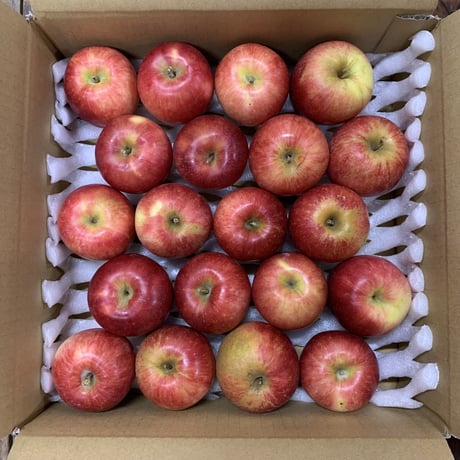 採れたて今が旬！夏明かり🍎信州産りんご(約3.2kg・小さめ)バラ詰めりんご
