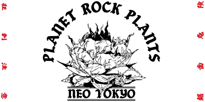 PLANET ROCK PLANTS PLANET ROCK PLANTS