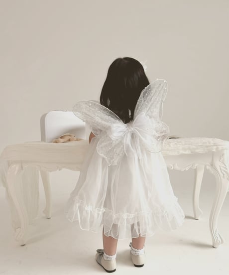 fairy wing - glitter -