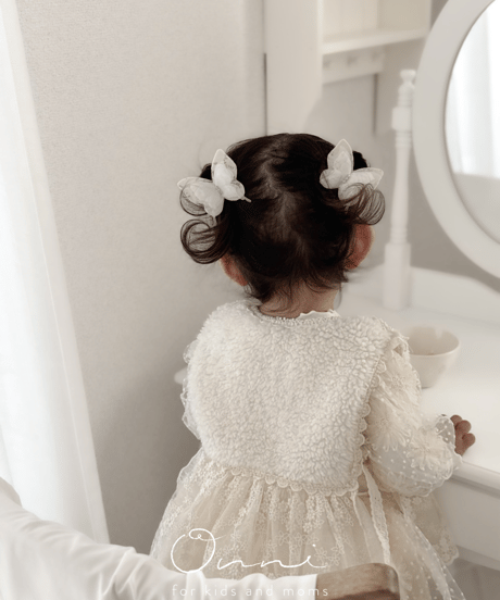 butterfly hair clip