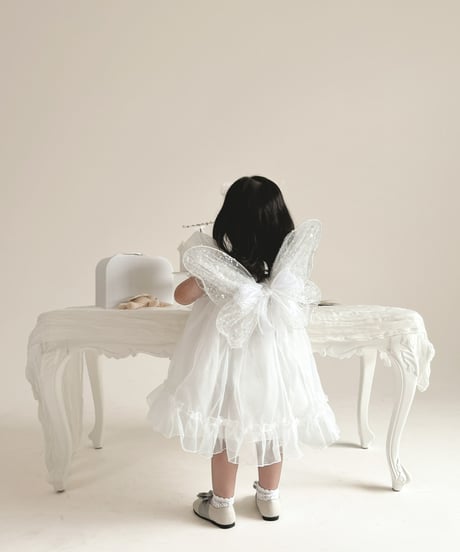 fairy wing - glitter -