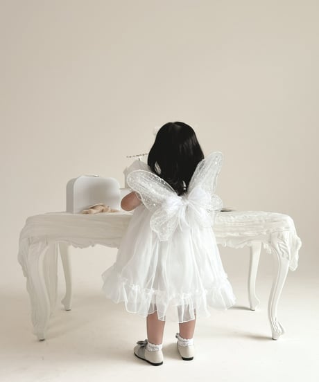 fairy wing - glitter -