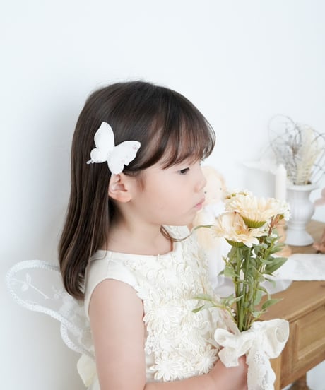 butterfly hair clip