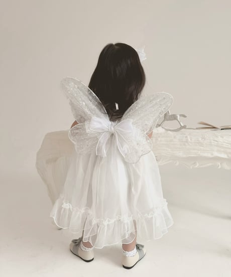 fairy wing - glitter -