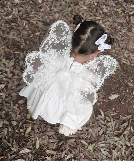 fairy wing - flower -