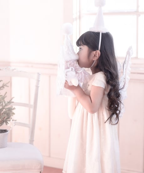 fairy wing -rose-