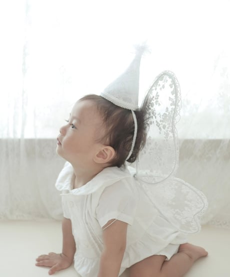 fairy wing - flower -