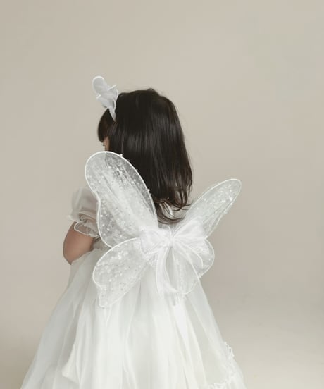 fairy wing - glitter -