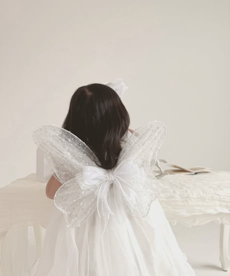 fairy wing - glitter -