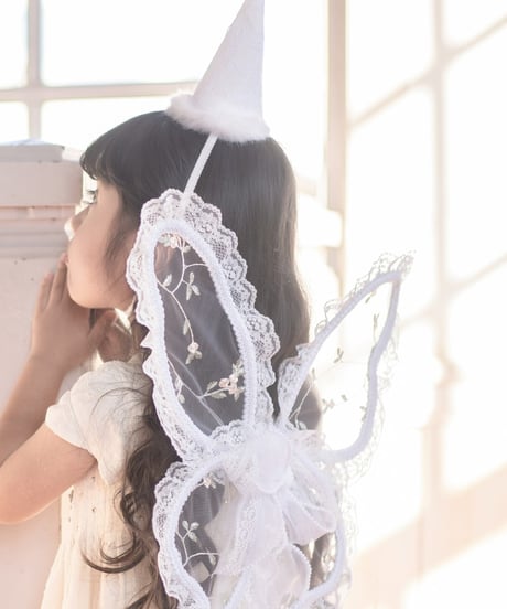 fairy wing -rose-